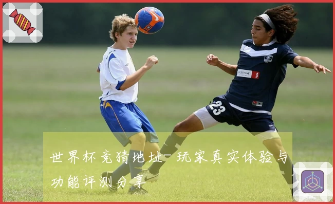 世界杯竞猜地址- 玩家真实体验与功能评测分享