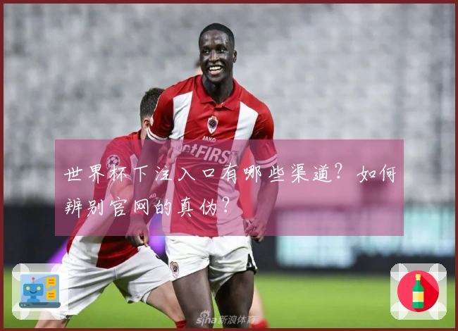 世界杯下注入口有哪些渠道？如何辨别官网的真伪？
