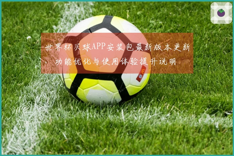 世界杯买球APP安装包最新版本更新，功能优化与使用体验提升说明