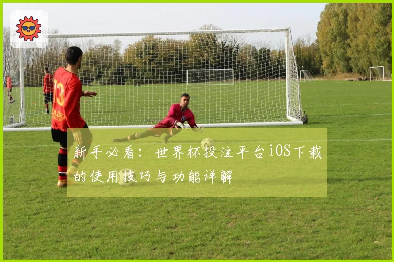 新手必看：世界杯投注平台iOS下载的使用技巧与功能详解