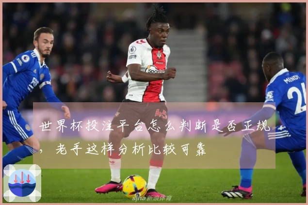 世界杯投注平台怎么判断是否正规，老手这样分析比较可靠