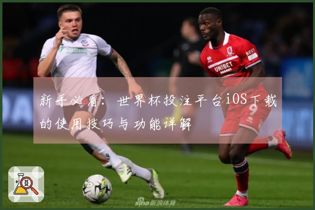 新手必看：世界杯投注平台iOS下载的使用技巧与功能详解