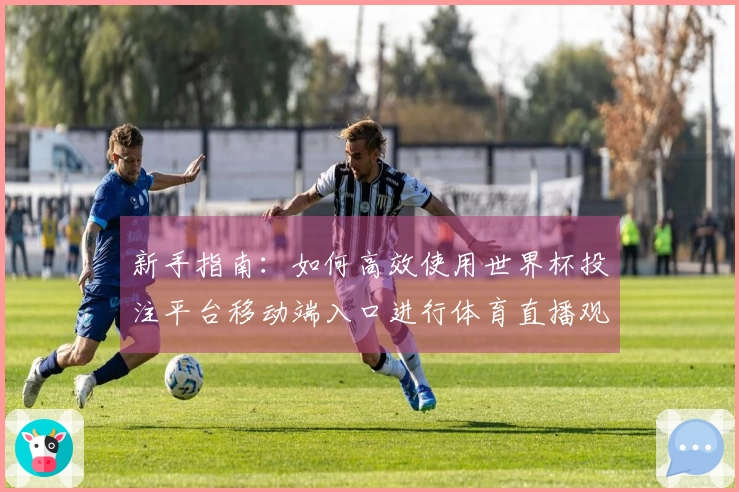 新手指南:如何高效使用世界杯投注平台移动端入口进行体育直播观看