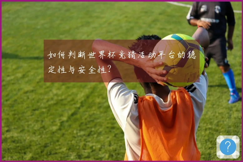 如何判断世界杯竞猜活动平台的稳定性与安全性？