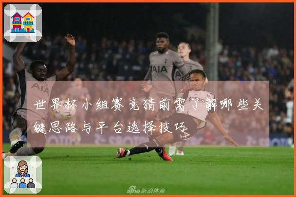世界杯小组赛竞猜前需了解哪些关键思路与平台选择技巧