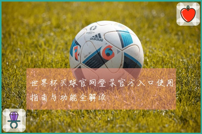 世界杯买球官网登录官方入口使用指南与功能全解读