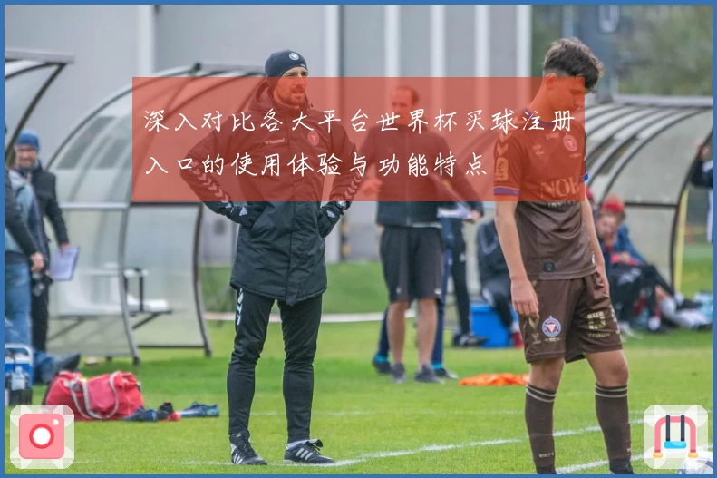 深入对比各大平台世界杯买球注册入口的使用体验与功能特点