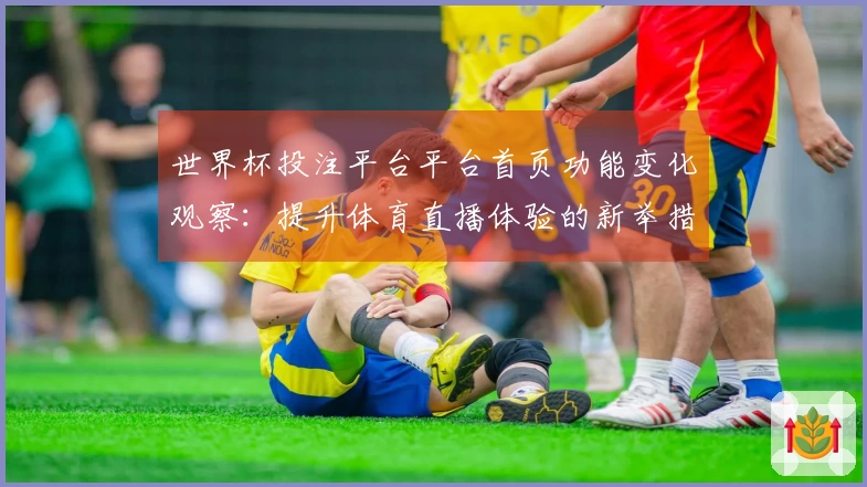 世界杯投注平台平台首页功能变化观察：提升体育直播体验的新举措