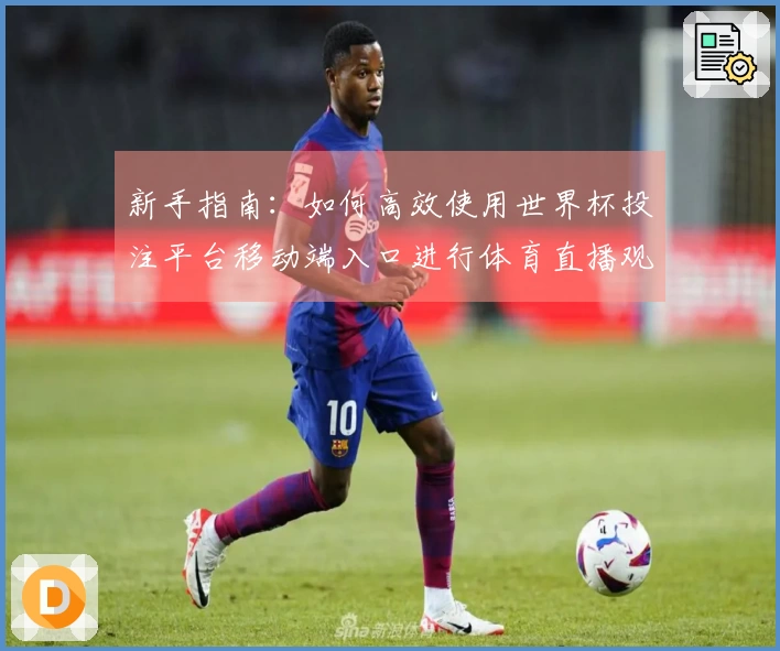 新手指南：如何高效使用世界杯投注平台移动端入口进行体育直播观看